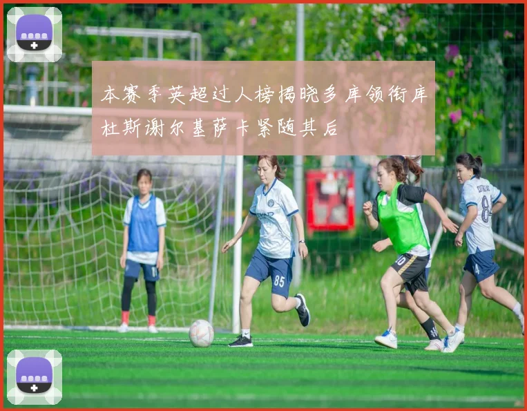 本赛季英超过人榜揭晓多库领衔库杜斯谢尔基萨卡紧随其后