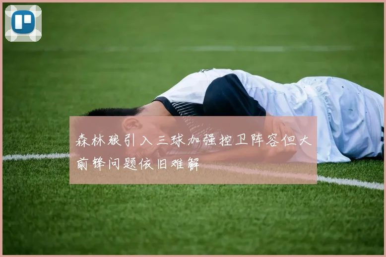 森林狼引入三球加强控卫阵容但大前锋问题依旧难解